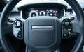 Land Rover Range Rover Sport 3.0 SDV6 HSE Leder ACC 360°Kamera Standhz. Gri - thumbnail 11