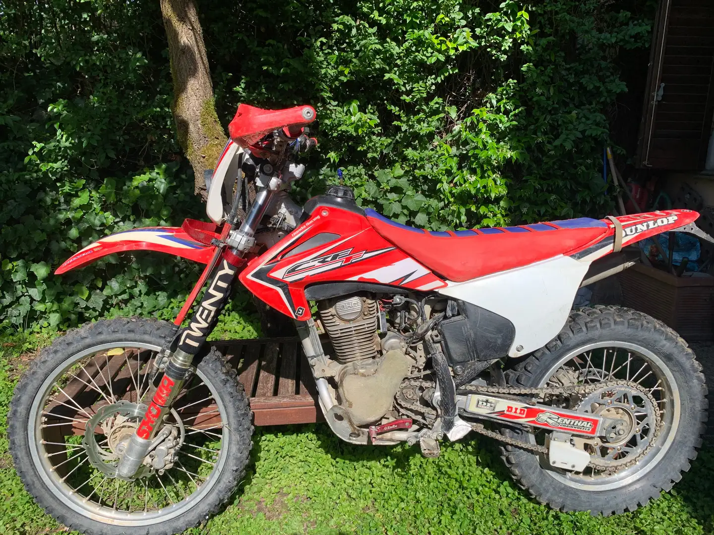 HM Crf 230 f enduro Czerwony - 2