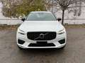 Volvo XC60 2.0 b4 R-design awd auto my20 Bianco - thumbnail 2