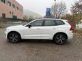 Volvo XC60 2.0 b4 R-design awd auto my20 Bianco - thumbnail 9