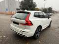 Volvo XC60 2.0 b4 R-design awd auto my20 Bianco - thumbnail 5