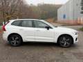 Volvo XC60 2.0 b4 R-design awd auto my20 Bianco - thumbnail 4