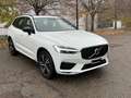 Volvo XC60 2.0 b4 R-design awd auto my20 Bianco - thumbnail 3