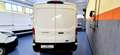 Ford TRANSIT  350 2.0 TDCI ECOBLUE 130CV PL-TM Bianco - thumbnail 4
