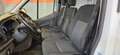 Ford TRANSIT  350 2.0 TDCI ECOBLUE 130CV PL-TM Bianco - thumbnail 9