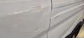 Ford TRANSIT  350 2.0 TDCI ECOBLUE 130CV PL-TM Bianco - thumbnail 12