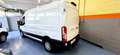 Ford TRANSIT  350 2.0 TDCI ECOBLUE 130CV PL-TM Bianco - thumbnail 3
