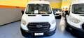 Ford TRANSIT  350 2.0 TDCI ECOBLUE 130CV PL-TM Bianco - thumbnail 6