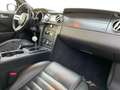 Ford Mustang SHELBY GT          CSM-No. 08SGTxxxx Modrá - thumbnail 11