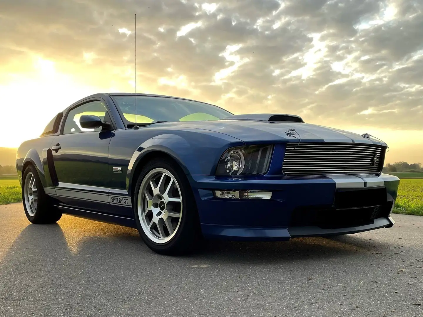 Ford Mustang SHELBY GT          CSM-No. 08SGTxxxx Blauw - 1