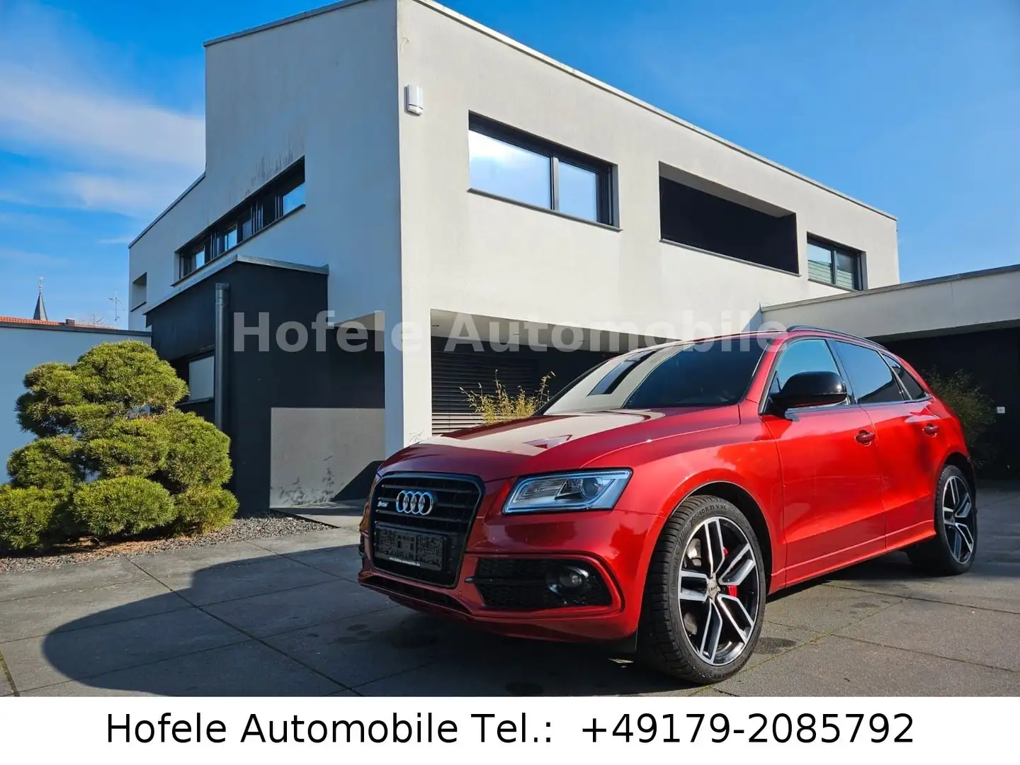 Audi SQ5 3.0 TDI plus quattro*CAM/NAVI/LEDER/LED* Rot - 1