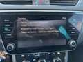 Skoda Superb Combi Sportline AHK/Sound/Digital Tacho Gris - thumbnail 14