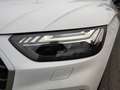 Audi Q5 35 TDI Adv. S tronic *MATRIX*NAV+* Bianco - thumbnail 8