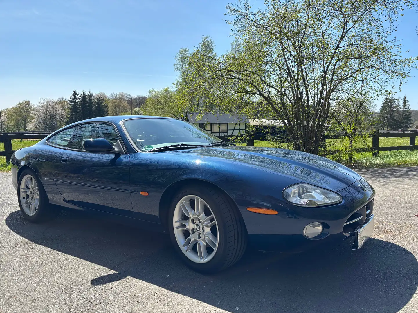 Jaguar XK8 XK8 Coupe Azul - 2