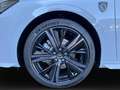 Peugeot 308 SW GT BlueHDi 130 EAT8 Bianco - thumbnail 7