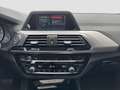 BMW X3 xDrive20i Advantage/Spur+ParkAss/RFK/HiFi/1.Hd Plateado - thumbnail 13