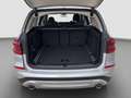 BMW X3 xDrive20i Advantage/Spur+ParkAss/RFK/HiFi/1.Hd Plateado - thumbnail 9