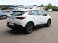Opel Grandland X Business Edition TOP AUSGESTATTET Weiß - thumbnail 12