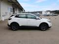 Opel Grandland X Business Edition TOP AUSGESTATTET Weiß - thumbnail 13