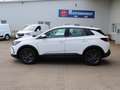 Opel Grandland X Business Edition TOP AUSGESTATTET Weiß - thumbnail 5