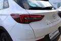 Opel Grandland X Business Edition TOP AUSGESTATTET Weiß - thumbnail 7