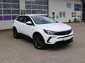 Opel Grandland X Business Edition TOP AUSGESTATTET Weiß - thumbnail 3