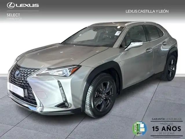 Lexus UX 300e Business