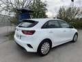Kia Ceed / cee'd 5 Türer Garantie Servicebuch Klima SR & WR Weiß - thumbnail 3