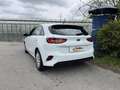Kia Ceed / cee'd 5 Türer Garantie Servicebuch Klima SR & WR Weiß - thumbnail 6