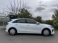 Kia Ceed / cee'd 5 Türer Garantie Servicebuch Klima SR & WR Weiß - thumbnail 2