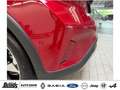 Ford Focus 1.0 EcoBoost Hybrid ACTIVE X PANO-DACH EASY-PARK. Rouge - thumbnail 9