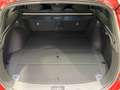 Hyundai i30 cw  1,5T-GDI  140PS  48V "N-Line" Rot - thumbnail 12