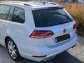 Volkswagen Golf Variant Golf Variant Highline 2,0 TDI Highline Silber - thumbnail 4