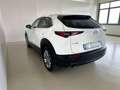 Mazda CX-30 2.0  M Hybrid 2WD Executive 122CV 6 MT Bianco - thumbnail 5
