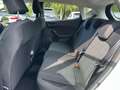 Ford Fiesta 1.1 Ti-VCT Cool&Connect CarPlay/Pdc/Klima/Temp/uvm Bianco - thumbnail 10