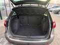 SEAT Ibiza ST Style 1.4 TDI Bi Xenon Klima Grau - thumbnail 5