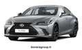 Lexus ES 300 h 2.5 Design cvt Grigio - thumbnail 2