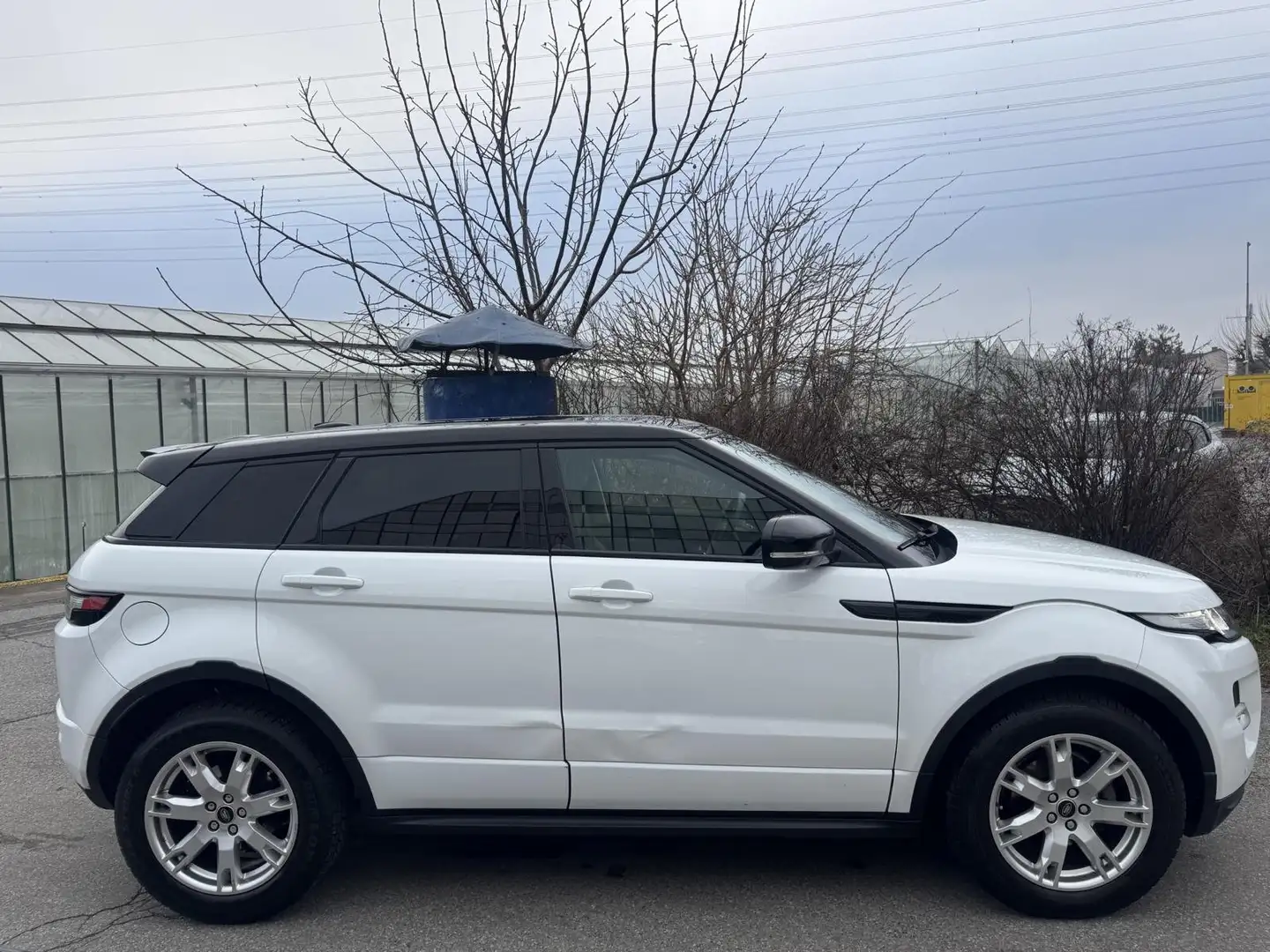 Land Rover Range Rover Evoque Dynamic 2,2 SD4 Memory Leder Kamera Servicebuch Weiß - 2