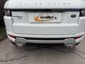 Land Rover Range Rover Evoque Dynamic 2,2 SD4 Memory Leder Kamera Servicebuch Weiß - thumbnail 4