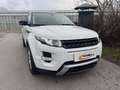Land Rover Range Rover Evoque Dynamic 2,2 SD4 Memory Leder Kamera Servicebuch Weiß - thumbnail 1
