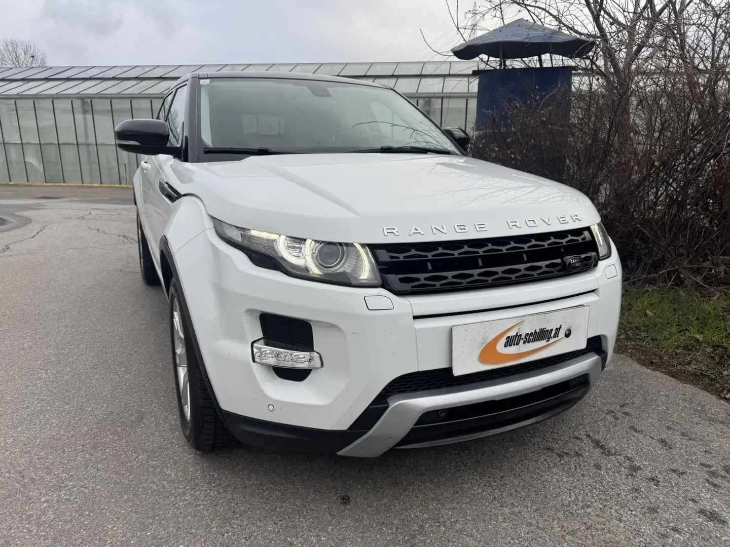 Land Rover Range Rover Evoque Dynamic 2,2 SD4 Memory Leder Kamera Servicebuch Weiß - 1