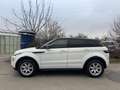Land Rover Range Rover Evoque Dynamic 2,2 SD4 Memory Leder Kamera Servicebuch Weiß - thumbnail 6