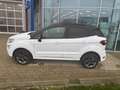 Ford EcoSport 1.0 Ecoboost ST-Line Aut. - KOMMISSIONSAUTO Weiß - thumbnail 8