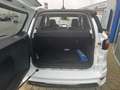 Ford EcoSport 1.0 Ecoboost ST-Line Aut. - KOMMISSIONSAUTO Weiß - thumbnail 6