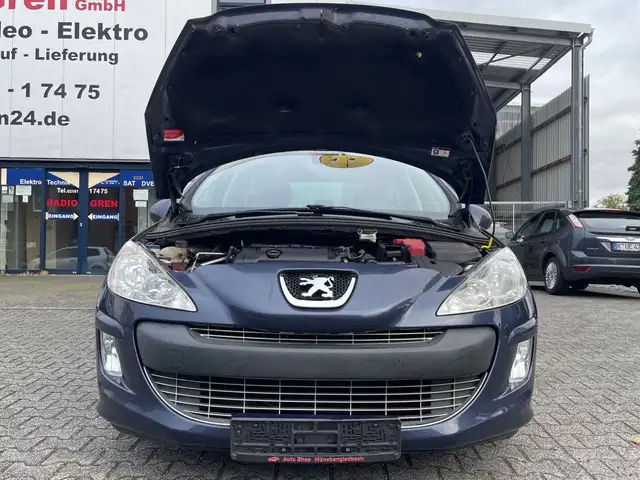 Peugeot 308 view 11