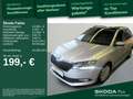 Skoda Fabia Combi 1.0 TSI Clever Best of*NAV*PANO*ACC* Silber - thumbnail 1