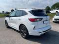 Ford Kuga 2.5 Plug In Hybrid 225 CV CVT 2WD ST-Line Bianco - thumbnail 2