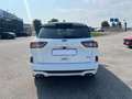 Ford Kuga 2.5 Plug In Hybrid 225 CV CVT 2WD ST-Line Bianco - thumbnail 13