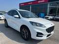 Ford Kuga 2.5 Plug In Hybrid 225 CV CVT 2WD ST-Line Bianco - thumbnail 11