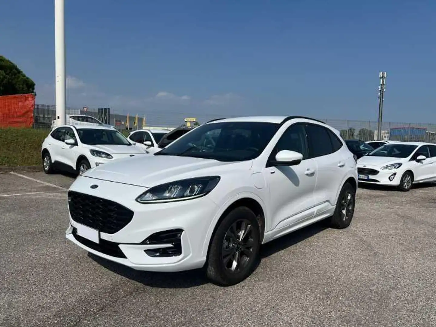Ford Kuga 2.5 Plug In Hybrid 225 CV CVT 2WD ST-Line Bianco - 1